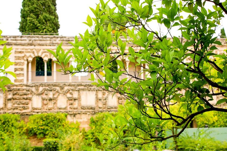 Seville: Alcazar Skip-the-Line Guided Tour with Tickets - Gardens and Patios: How a Short Tour Still Feels Like More