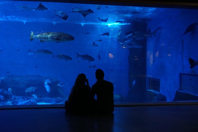 Seville Aquarium Admission Ticket - Guadalquivir River to the Big World: What Each Themed Area Gives You
