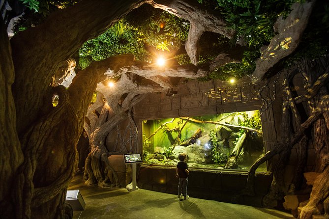 Seville Aquarium Admission Ticket - The Variety Numbers Are Big, but Here Is What You Can Actually Do With Them