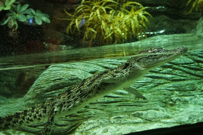 Seville Aquarium Admission Ticket - Plan Your Time: How Long to Stay and When to See the Best Views