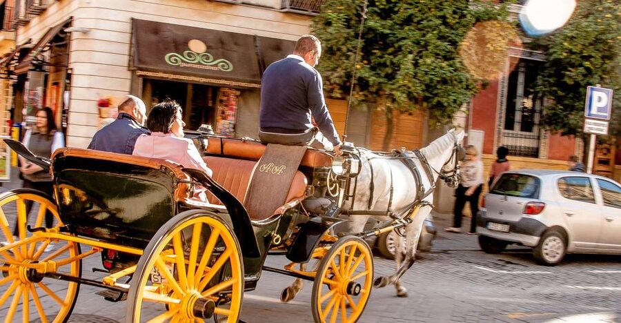 Seville: Authentic and Romantic Horse-Drawn Carriage Ride - Key Things I’d Focus On