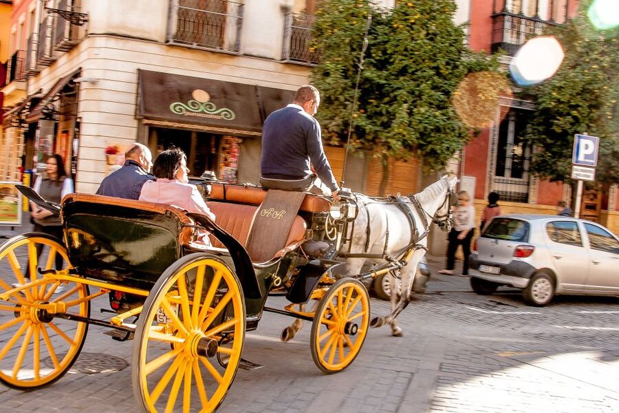 Seville: Authentic and Romantic Horse-Drawn Carriage Ride - Why Seville by Horse and Carriage Feels Romantic
