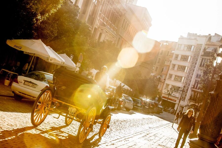 Seville: Authentic and Romantic Horse-Drawn Carriage Ride - Where Pickup Works in the Real Streets of Seville