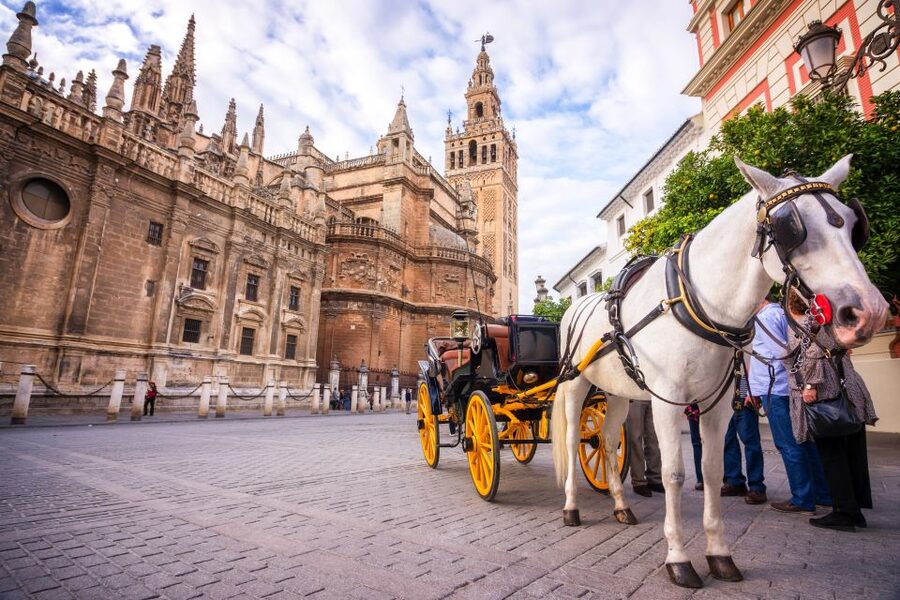 Seville: Authentic and Romantic Horse-Drawn Carriage Ride - Parque Maria Luisa: First Big Views and Easy Photo Wins