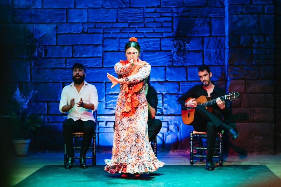 Seville: Baraka Sala Flamenca Show with Drink in Triana - Finding Baraka on Pureza Street and getting seated without stress