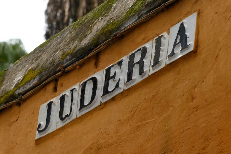 Seville: Barrio de Santa Cruz Small Group Walking Tour - Timing and pace: 75 to 105 minutes in Seville’s tight lanes