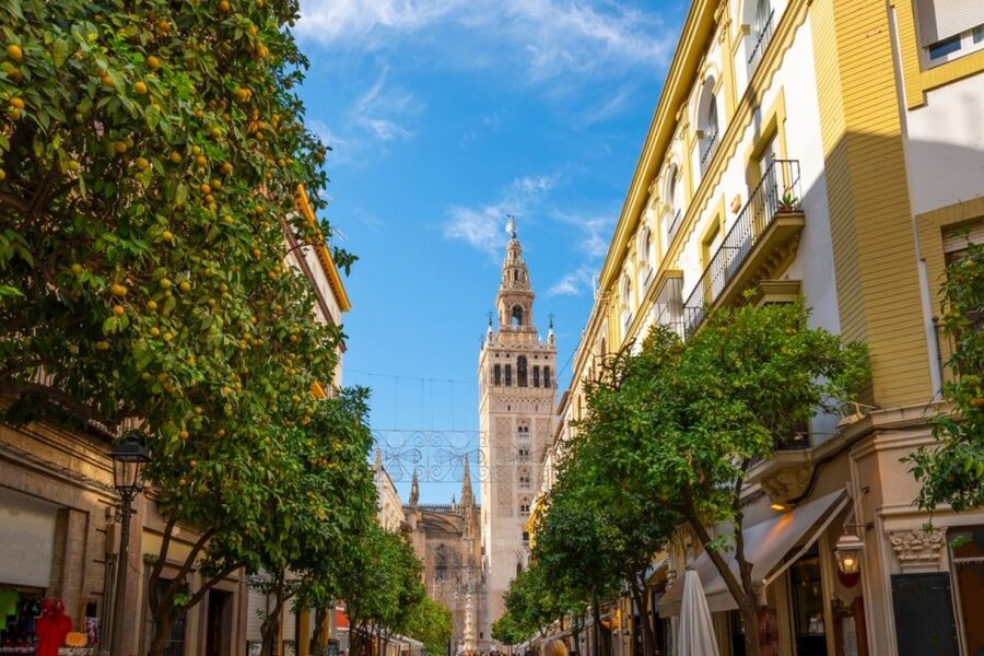 Seville: Barrio de Santa Cruz Small Group Walking Tour - Should you book the Seville Barrio de Santa Cruz small group tour?