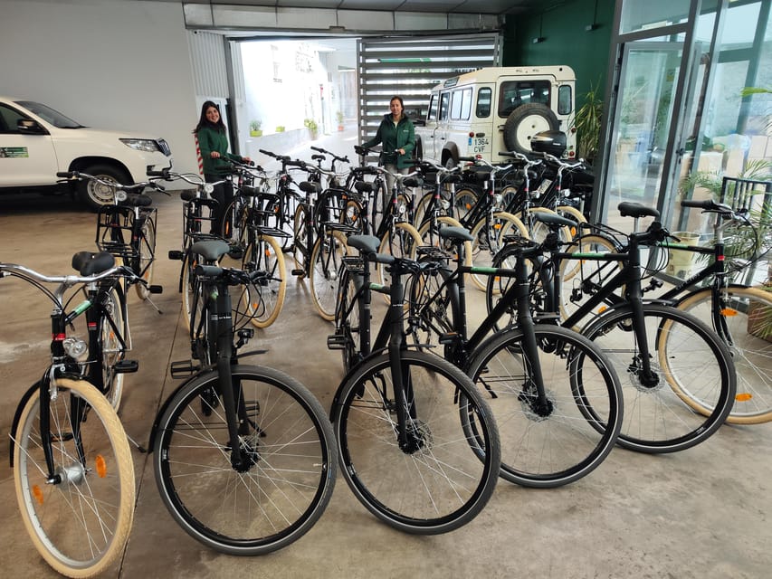 Seville: Bike Rental - Why Seville Works So Well for a Bike Rental