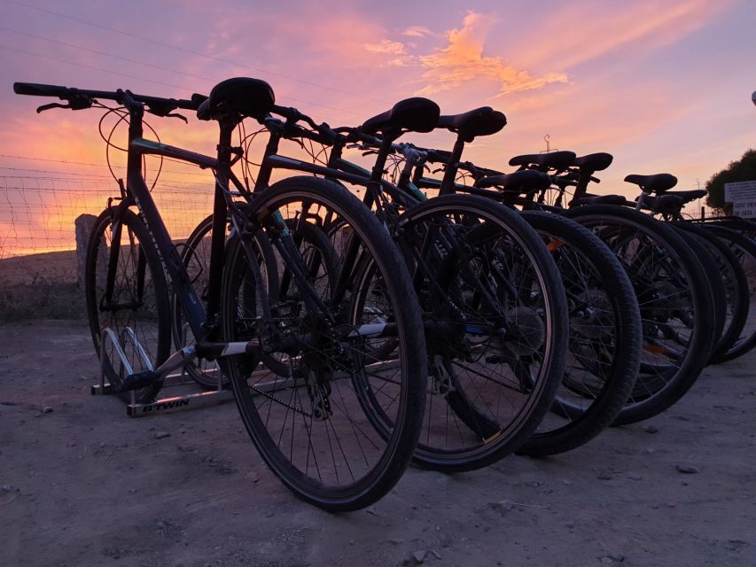Seville: Bike Rental - Using Seville’s Bicycle Lanes Like a Pro, Your Self-Guided Route