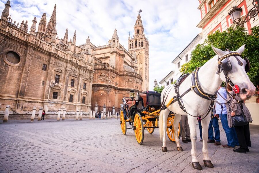 Seville: Cathedral and Alcázar Guided Tour - Why Seville Cathedral and the Alcázar Belong in the Same Tour