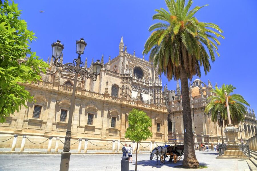 Seville: Cathedral, Giralda & Alcazar Entry With Guided Tour - Key things I’d pay attention to