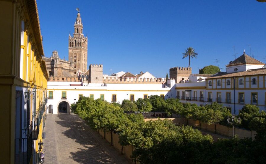 Seville: Cathedral, Giralda & Alcázar Guided Tour - Guides, languages, and what to expect from the group experience