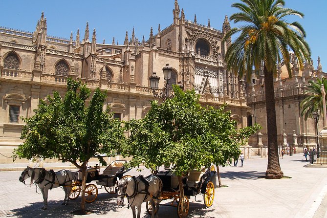 Seville: Cathedral & Giralda Guided Tour with Tickets - Puerta del Perdón and Patio de los Naranjos: the stop that adds texture