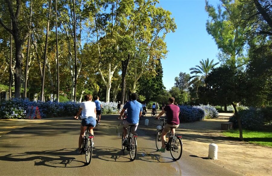 Seville: Electric Bike Tour in Small Group - What “Flexible Itinerary” Means in Real Life