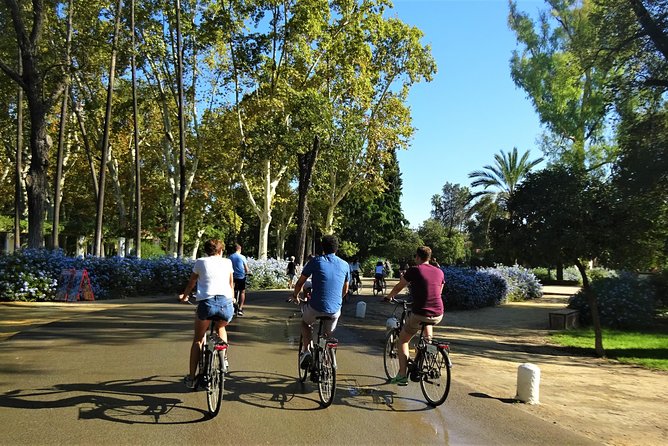 Seville Electric Bike Tour - Small Group - San Telmo, Tobacco Factory, and City Hall: Finishing With Real Identity