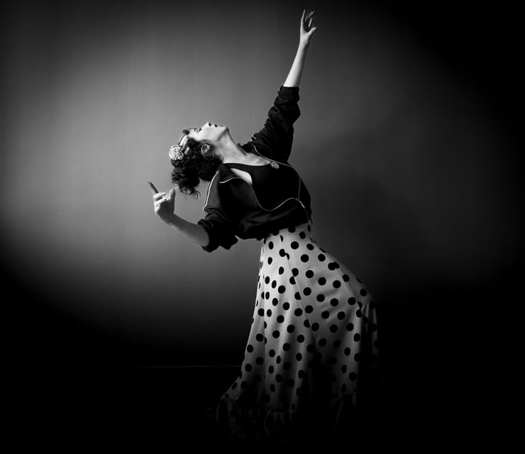 Seville: Enjoy a class of approach to flamenco - Who This Flamenco Class Is For