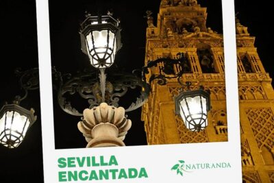 Seville Evening Historical Tour with Haunted History
