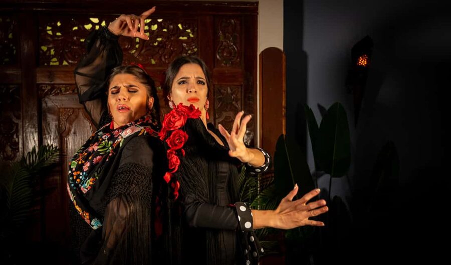Seville: Flamenco Show at Tablao Almoraima in Triana - Price, Drinks, and What This Ticket Actually Buys You
