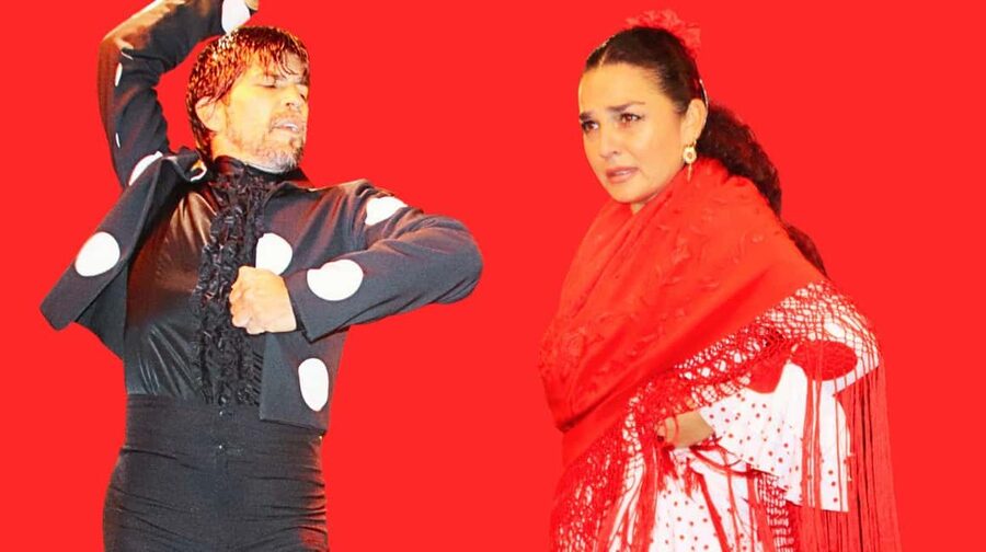 Seville: Flamenco Show at Tablao La Cantaora - Where Tablao La Cantaora sits in Seville (and why that matters)