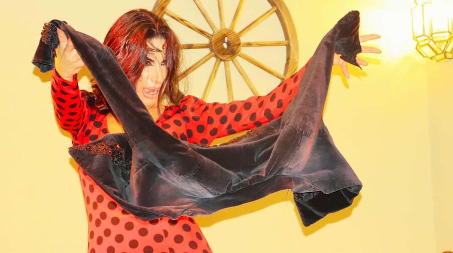 Seville: Flamenco Show at Tablao La Cantaora - The drink part: how it fits into the performance