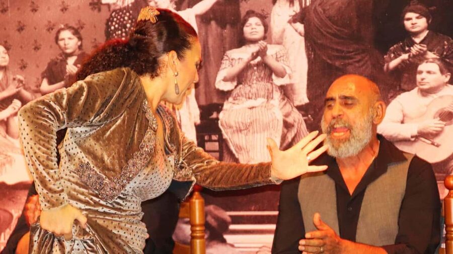 Seville: Flamenco Show at Tablao La Cantaora - What happens during the show: dance, song, and guitar in one hour