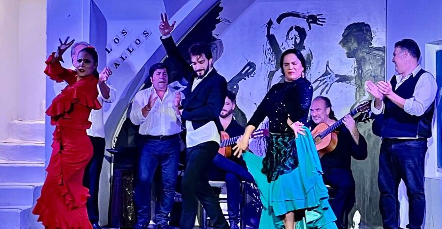 Seville: Flamenco Show at Tablao Los Gallos - Seating, Room Size, and the Practical Reality of Tight Chairs