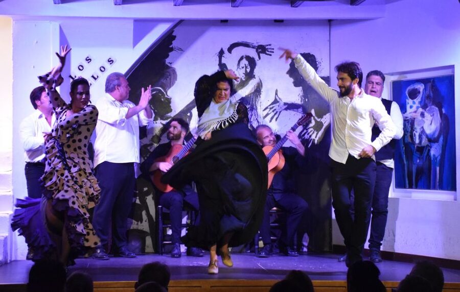Seville: Flamenco Show at Tablao Los Gallos - How the 75 Minutes Usually Unfold (And How to Watch It)