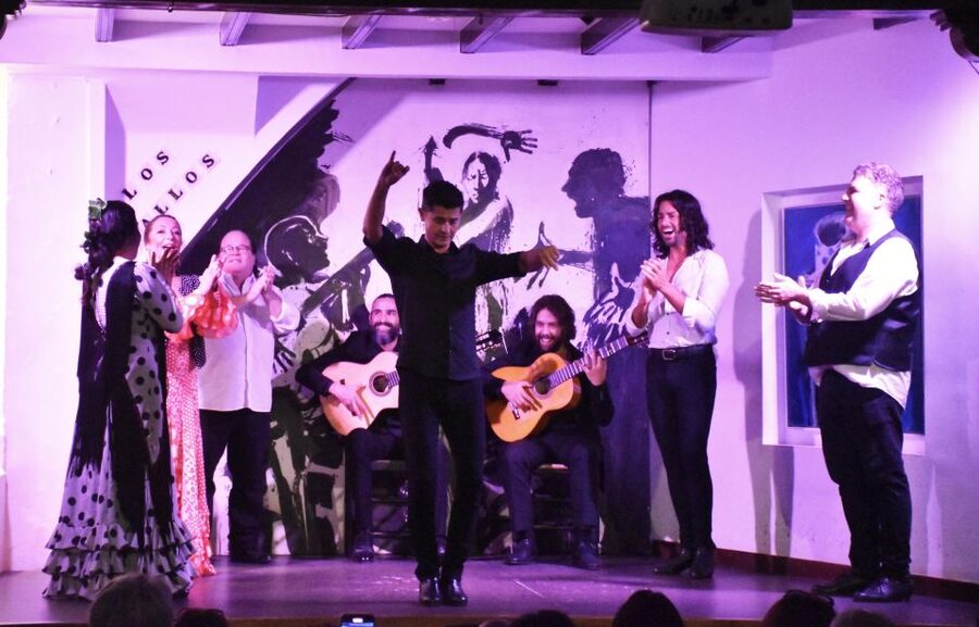 Seville: Flamenco Show at Tablao Los Gallos - A Possible Downside: Less Flamenco Background, More Show Time