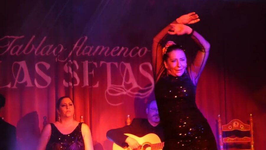Seville: Flamenco Show & Roof Dinner with Cathedral Views - Tablao Las Setas at 19:45: flamenco up close, no detours
