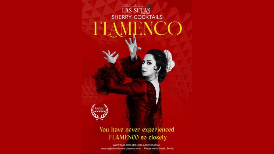 Seville: Flamenco Show Ticket at Tablao Flamenco Las Setas - Key Things You’ll Notice