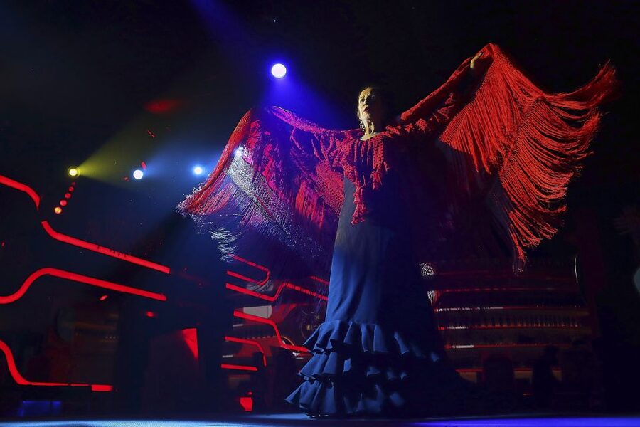 Seville: Flamenco Show Ticket at Tablao Flamenco Las Setas - Who This Works Best For