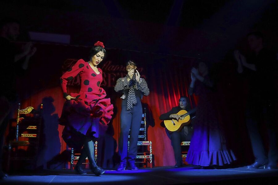 Seville: Flamenco Show Ticket at Tablao Flamenco Las Setas - What Happens During the Show: Styles, Singing, Guitar, and Dance