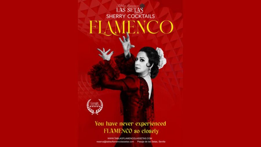 Seville: Flamenco Show Ticket at Tablao Flamenco Las Setas - Your Ticket Options: Basic vs Premium vs VIP