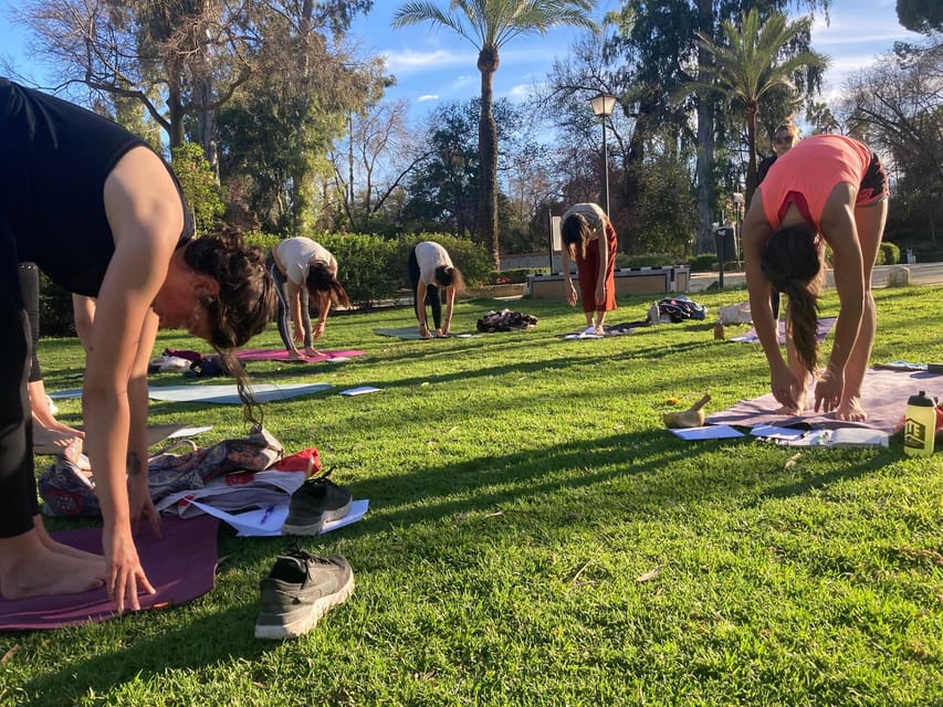 Seville: Group Yoga classes All levels - in French - Key Things You’ll Remember