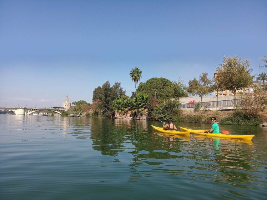 Seville: Guadalquivir River Kayaking Trip - Who should book this kayaking trip?