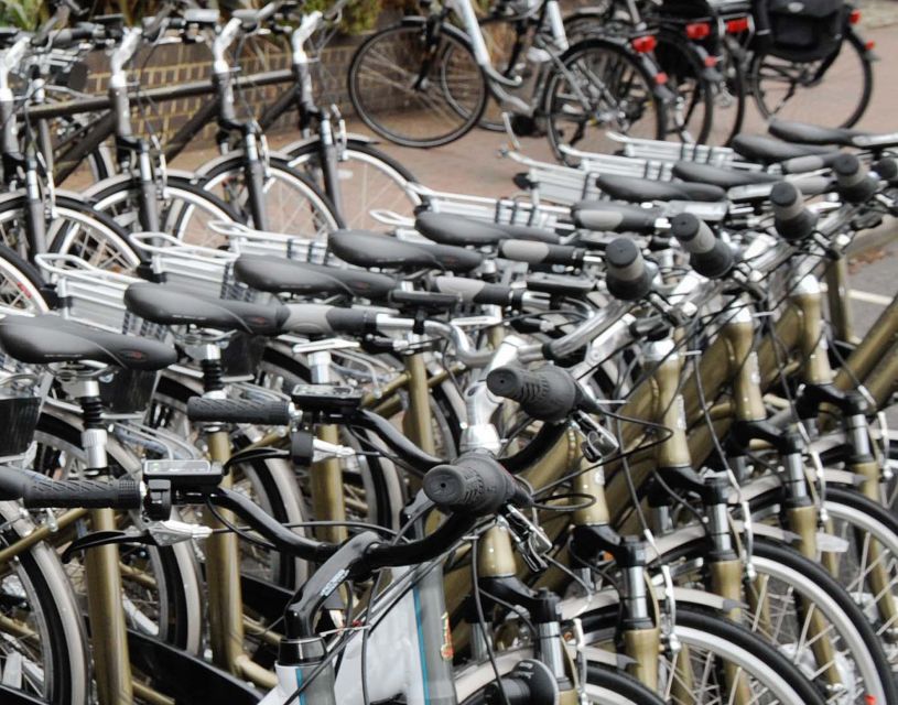 Seville: Guided Tour by Electric Bike - Why an Electric Bike Is Such a Smart Way to See Seville
