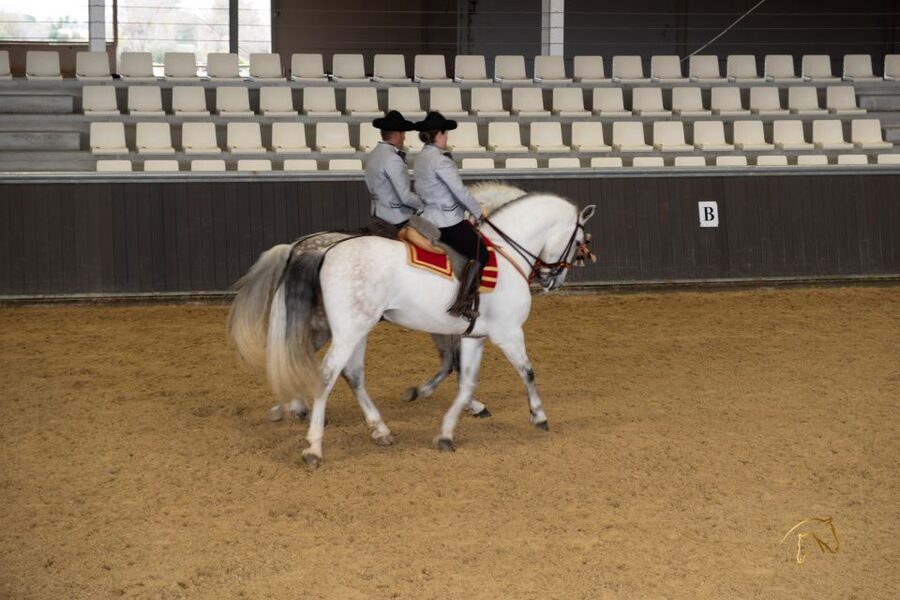 Seville: Horse's Show Entry Ticket. Optional Stud Farm Visit - Key things I’d plan around