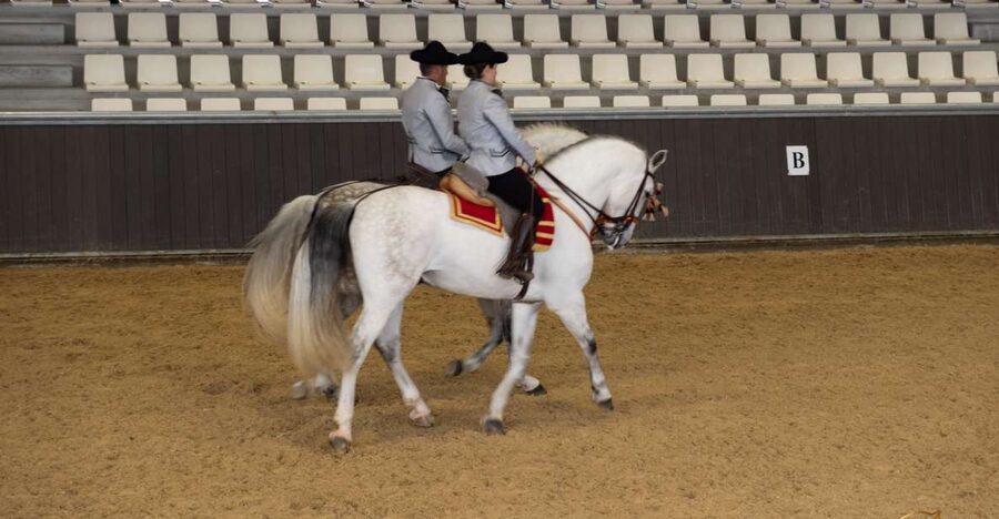Seville: Horse's Show Entry Ticket. Optional Stud Farm Visit - Getting to Yeguada Torreluna Outside Central Seville