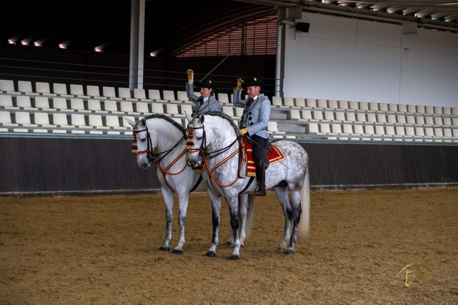 Seville: Horse's Show Entry Ticket. Optional Stud Farm Visit - Meeting and Learning From World Champion Purebred Spanish Horses