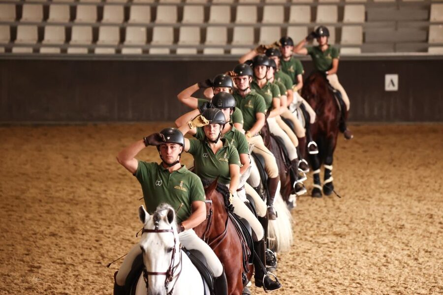 Seville: Horse's Show Entry Ticket. Optional Stud Farm Visit - English-First Planning, Multilingual Guides, and How to Follow Along