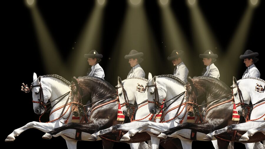 Seville: Horse's Show Entry Ticket. Optional Stud Farm Visit - Duration and Timing: 45 Minutes to 2 Hours, Choose Your Pace