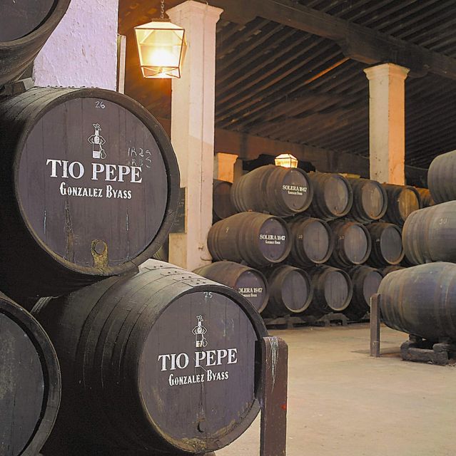 Seville: Jerez, Cadiz Wine Tasting with Optional Horse Show - Key things to know before you go