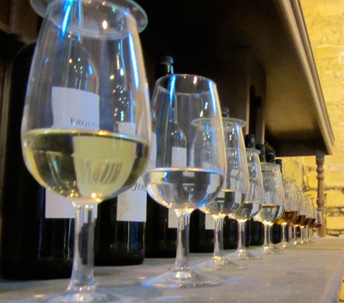 Seville: Jerez, Cadiz Wine Tasting with Optional Horse Show - Inside a Jerez bodega: how the sherry lesson comes to life