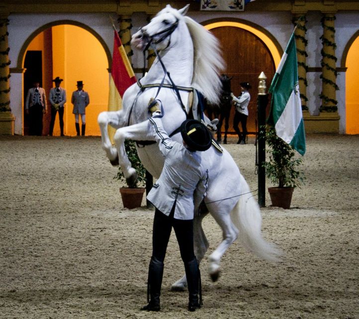 Seville: Jerez, Cadiz Wine Tasting with Optional Horse Show - Sherry tasting you can actually remember after the day