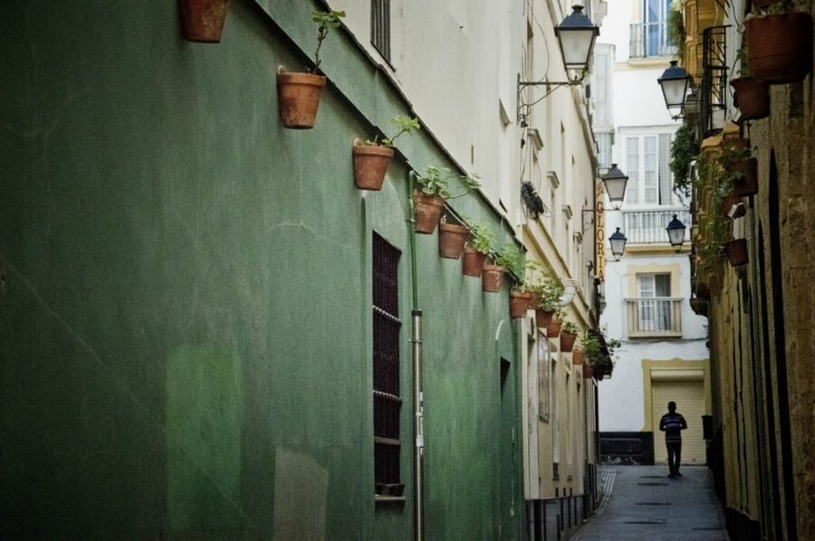 Seville: Jerez, Cadiz Wine Tasting with Optional Horse Show - Spending your 3 hours in Cadiz without feeling rushed