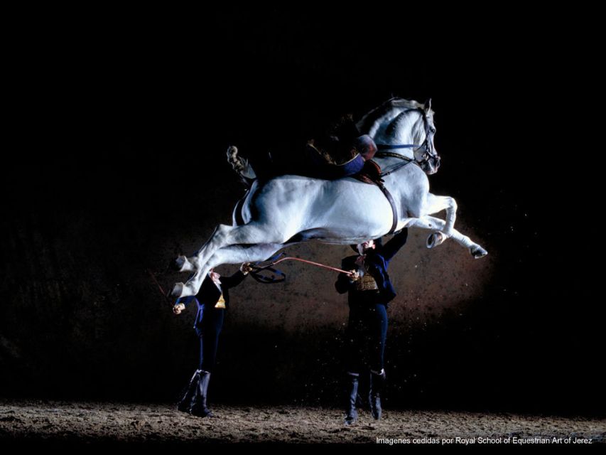 Seville: Jerez, Cadiz Wine Tasting with Optional Horse Show - What your guide affects: language, pace, and how it feels