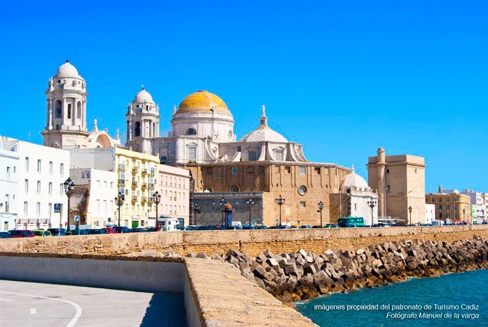 Seville: Jerez, Cadiz Wine Tasting with Optional Horse Show - Price and logistics: does $115 really pay off?