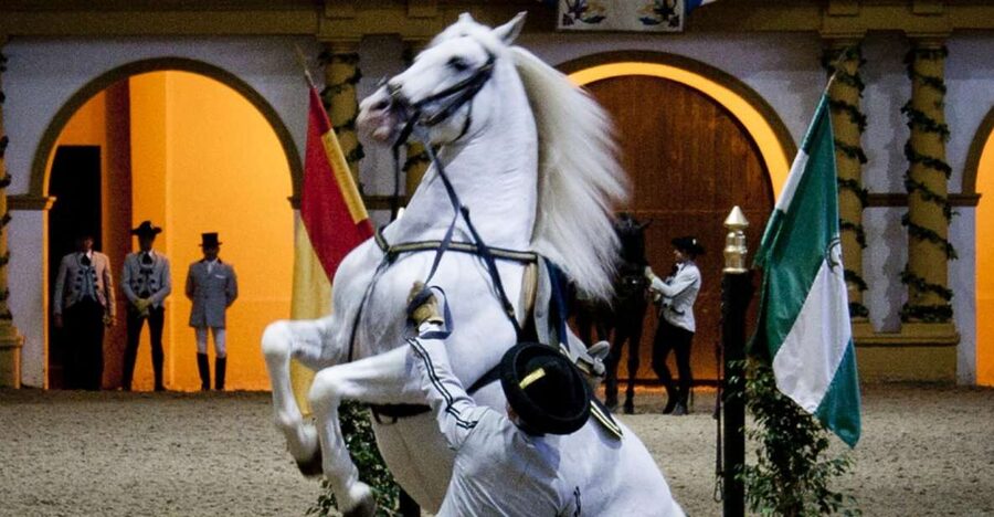 Seville: Jerez, Cadiz Wine Tasting with Optional Horse Show - Morning pickup in Seville: timing and comfort matter