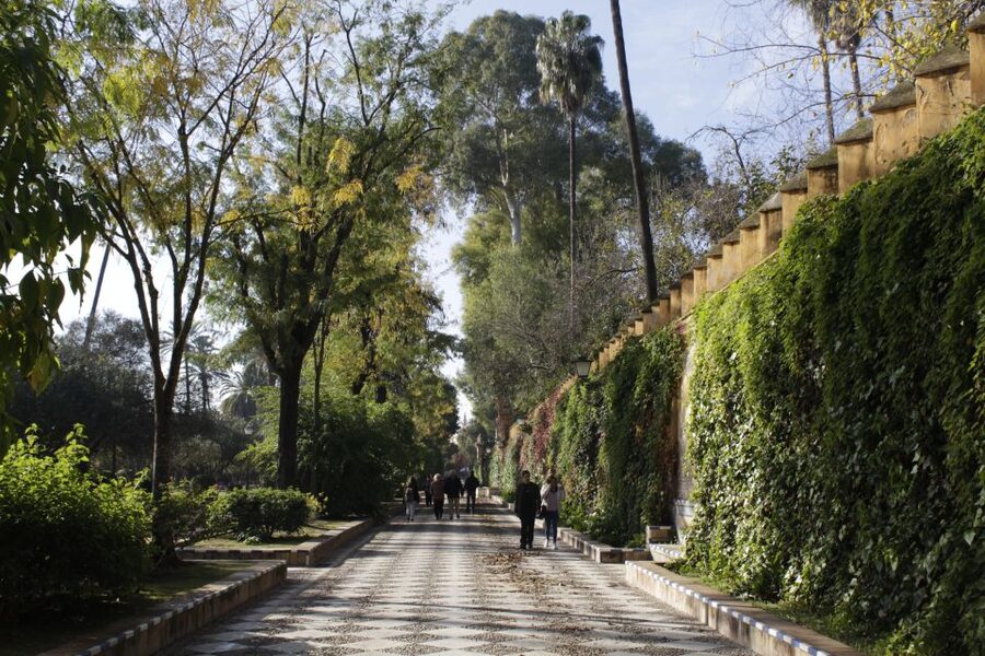 Seville Jewish Heritage Tour - Key things to notice before you go