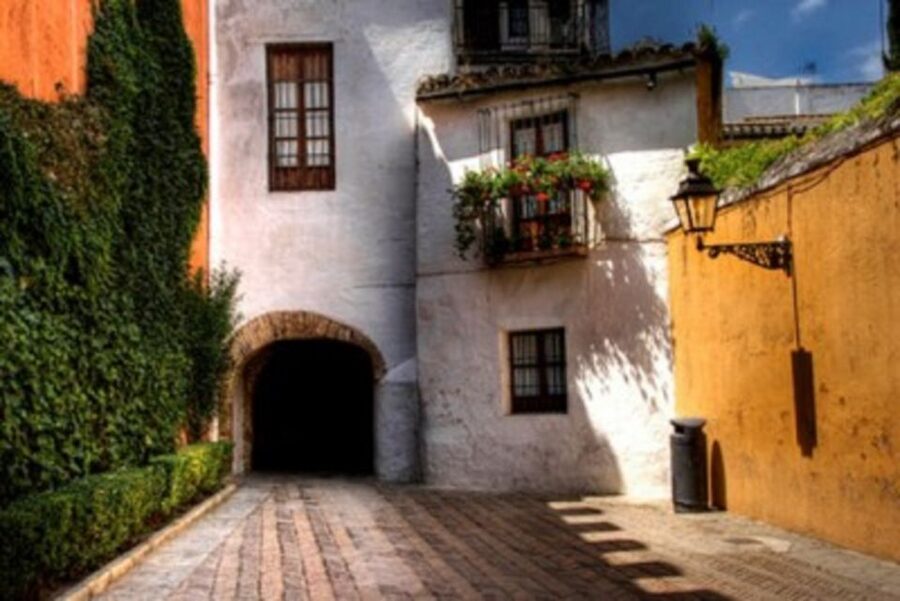 Seville Jewish Heritage Tour - A 2-hour Seville walk through Jewish footsteps in Santa Cruz